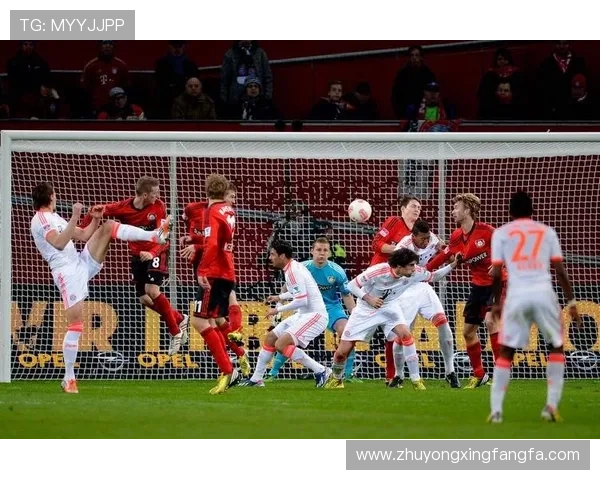 德甲联赛搜狐体育比（德甲足球比赛直播）sports